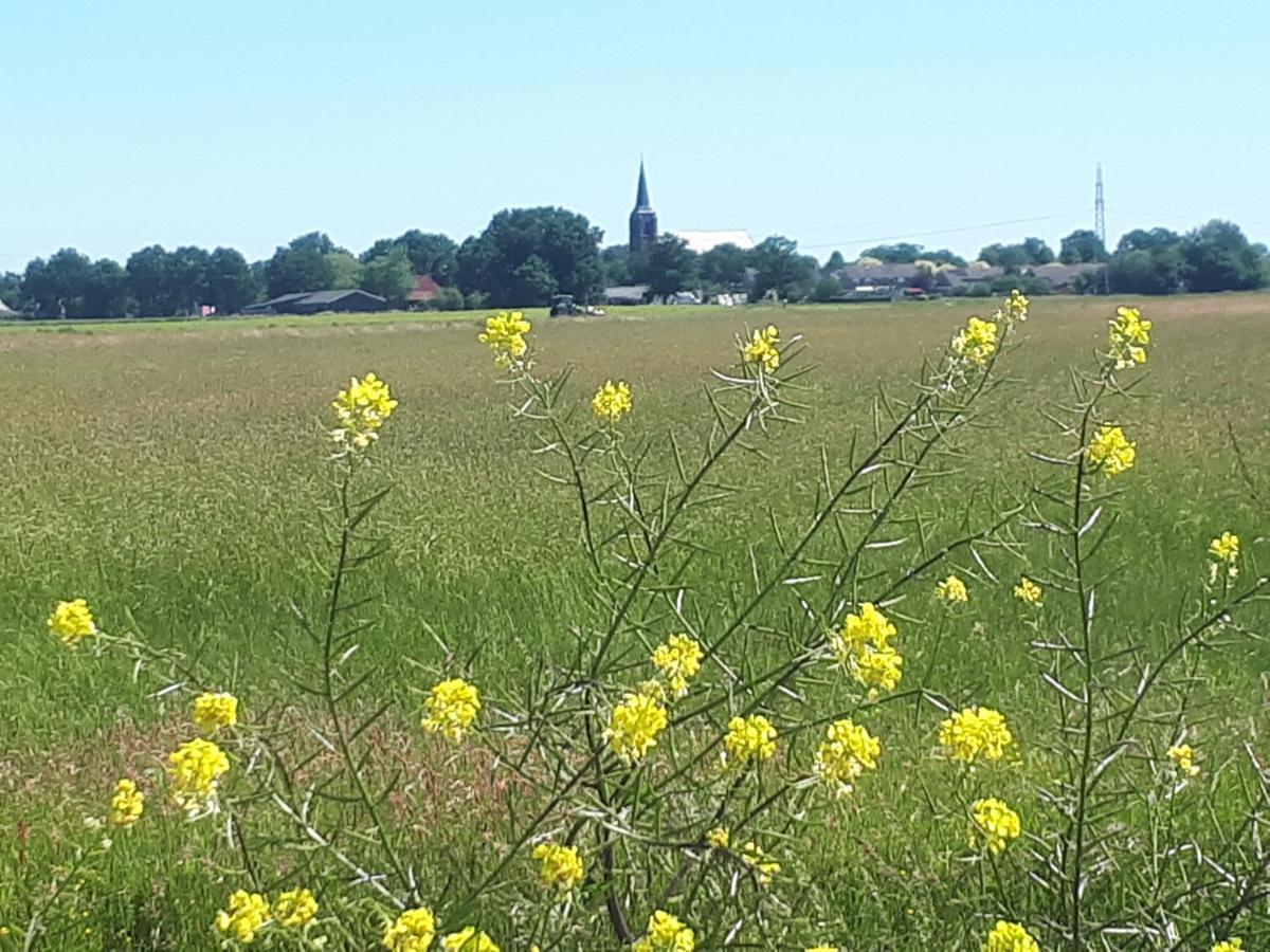 B&B 'T Lierderholt Lierderholthuis Luaran gambar